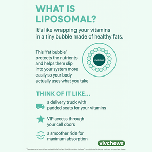 chlorophyll - internal deodorant liposomal liquid drops