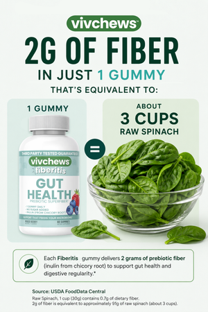 A promotional graphic for vivchews Fiberits Gut Health gummies, showing a bottle of the product alongside a bowl of fresh spinach leaves and text stating '2G OF FIBER IN JUST 1 GUMMY' and 'THAT'S EQUIVALENT TO: ABOUT 3 CUPS RAW SPINACH'.